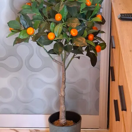 Apartmán Larenta Sveti Vlas, Ulitsa Cherno 12 *