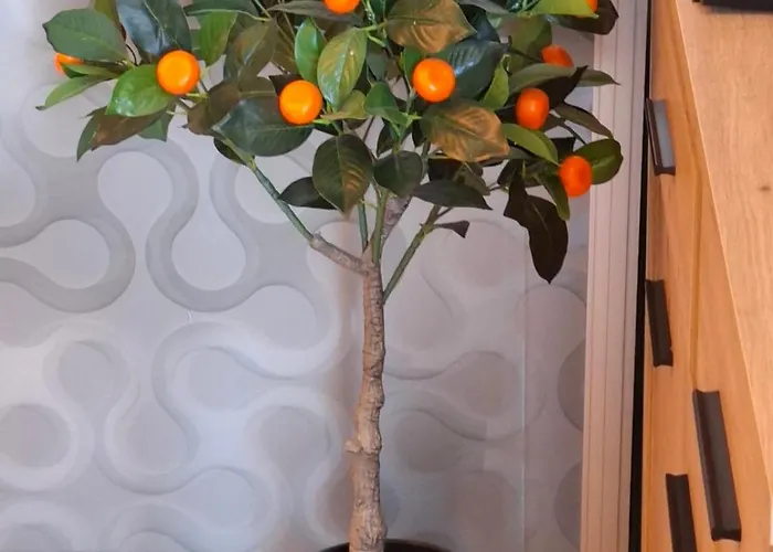 Апартаменты Larenta стилни с 2 спални и гледка море в влас *